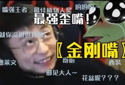 漂泊二哥爆料视频大全最新,揭秘娱乐圈不为人知的一面