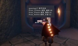 光遇最新爆料物品,神秘物品引领冒险新篇章