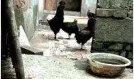 筠连网友爆料最新,揭秘当地最新热点事件！