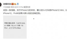 苹果12 最新爆料页,颠覆性设计与强大性能前瞻
