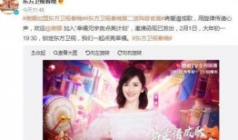 谢娜微信内容爆料最新版,最新版剧情大揭秘！