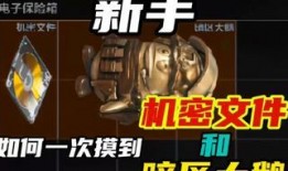 暗区突围最新爆料大鹅,大鹅全新爆料，揭秘神秘游戏世界