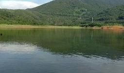 三坑水库爆料最新消息今天,最新爆料揭示惊人真相！”