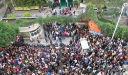 云南小学爆料事件最新消息,真相揭开，家长震惊不已