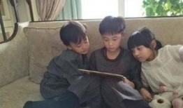 杭州邻居最新爆料新闻,揭秘某神秘事件背后真相