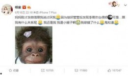 杨紫妈妈最新爆料视频,揭秘杨紫成长背后的感人故事