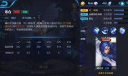 橘右京体验服最新爆料,体验服爆料揭示神秘剑客新篇章