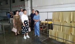 淮南八公山爆料案件最新,揭秘背后惊人真相