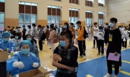 帕劳政府爆料了吗最新消息,揭秘神秘事件真相！