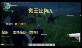 春节爆料视频最新消息,揭秘节日背后的精彩瞬间
