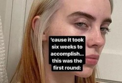 碧梨最新爆料视频大全集,揭秘明星幕后生活